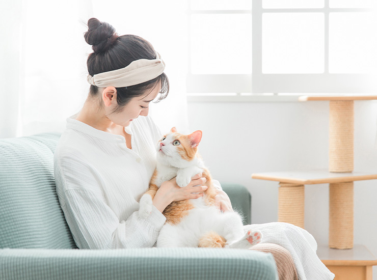 光熱費も削減できる、夏涼しく冬暖かい暮らし